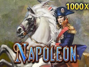 Napoleon game cover