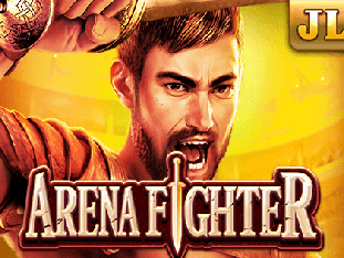 Arena Fighter game cover