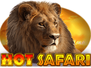 Hot Safari game cover