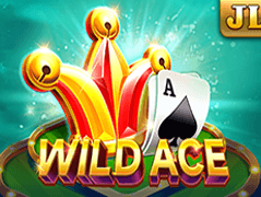 Wild Ace game cover
